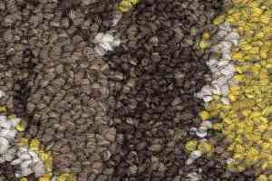 Ковролин Balsan Lily 773 фото  | FLOORDEALER