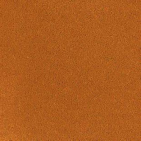 Desso Asteranne 5101 фото 1 | FLOORDEALER