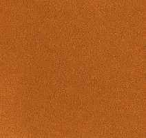 Ковролин Desso Asteranne 5101 фото 1 | FLOORDEALER