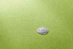 Ковролин Vorwerk Superior 1063 Vorwerk 4g87 фото  | FLOORDEALER