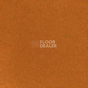 Ковролин Desso Asteranne 5101 фото 1 | FLOORDEALER