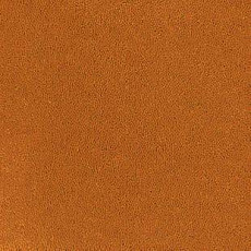 Ковролин Desso Asteranne 5101 фото 1 | FLOORDEALER