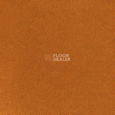 Ковролин Desso Asteranne 5101 фото 1 | FLOORDEALER