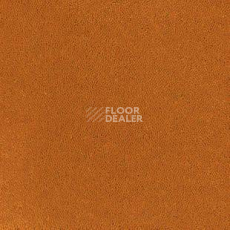 Ковролин Desso Asteranne 5101 фото 1 | FLOORDEALER