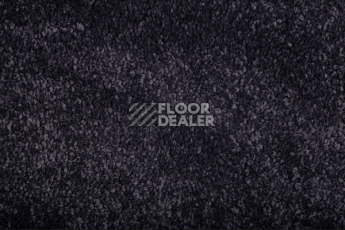 Ковролин Condor Monte Bianco 78 фото 1 | FLOORDEALER