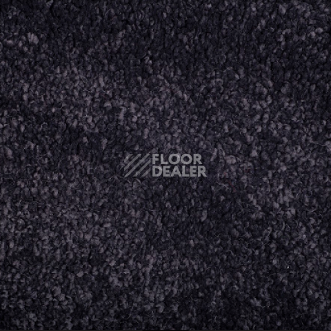 Ковролин Condor Monte Bianco 78 фото 1 | FLOORDEALER