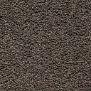Ковролин Best Wool Pure Brunel b 70006  | FLOORDEALER