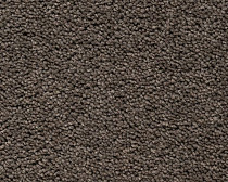 Ковролин Best Wool Pure Brunel b 70006 фото 1 | FLOORDEALER
