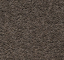 Ковролин Best Wool Pure Brunel b 70006 фото 1 | FLOORDEALER