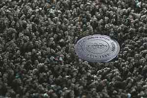 Ковролин Vorwerk Superior 1041 Vorwerk 5w99 фото  | FLOORDEALER