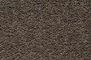 Ковролин Best Wool Pure Brunel b 70006 фото  | FLOORDEALER