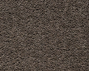 Ковролин Best Wool Pure Brunel b 70006 фото 1 | FLOORDEALER