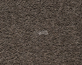 Ковролин Best Wool Pure Brunel b 70006 фото 1 | FLOORDEALER