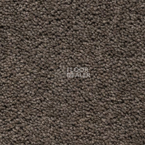 Ковролин Best Wool Pure Brunel b 70006 фото 1 | FLOORDEALER