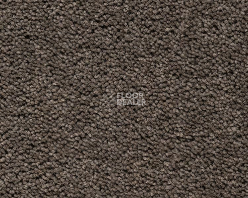 Ковролин Best Wool Pure Brunel b 70006 фото 1 | FLOORDEALER