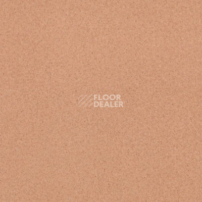 Линолеум Tarkett Activa Malibu 1 фото 1 | FLOORDEALER