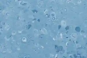 Линолеум Apoluza Tangyun 1019 фото  | FLOORDEALER