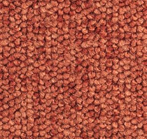 Ковролин Balsan Santa Fe DD Santa Fe dd 480 фото 1 | FLOORDEALER