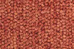 Ковролин Balsan Santa Fe DD Santa Fe dd 480 фото  | FLOORDEALER