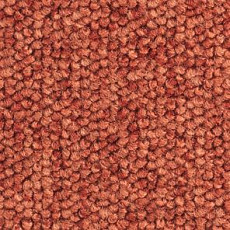 Ковролин Balsan Santa Fe DD Santa Fe dd 480 фото 1 | FLOORDEALER