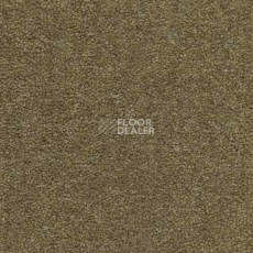 Ковролин Infloor Coronado 850 850 фото 1 | FLOORDEALER