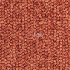 Ковролин Balsan Santa Fe DD Santa Fe dd 480 фото 1 | FLOORDEALER