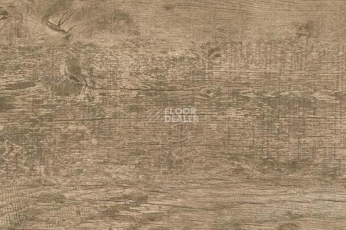 Пробковое покрытие Corkstyle Wood OAK ANTIQUE фото 1 | FLOORDEALER