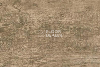 Пробковое покрытие Wood OAK ANTIQUE фото 1 | FLOORDEALER