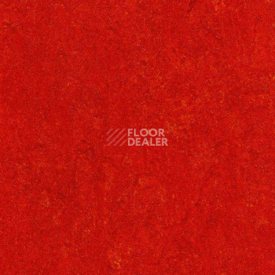 Линолеум Marmorette DLW 2.5mm 121-118 фото 1 | FLOORDEALER