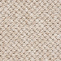 Ковролин Big Rocca 330 фото 1 | FLOORDEALER