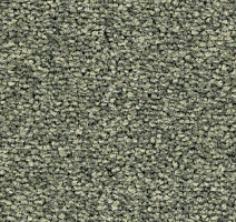 Ковролин Balsan First Class 230 фото 1 | FLOORDEALER