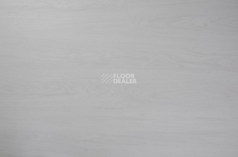 Evofloor Optima Click 4.2мм Дуб Арктический фото 4 | FLOORDEALER