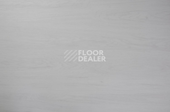 Evofloor Optima Click 4.2мм Дуб Арктический фото 4 | FLOORDEALER