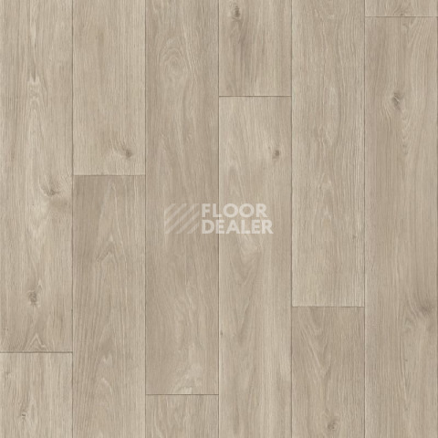 Линолеум Tarkett Комфорт Spenser 3 фото 1 | FLOORDEALER