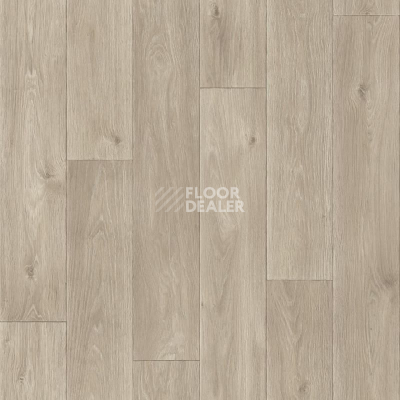 Линолеум Tarkett Комфорт Spenser 3 фото 1 | FLOORDEALER