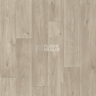Линолеум Tarkett Комфорт Spenser 3 фото 1 | FLOORDEALER