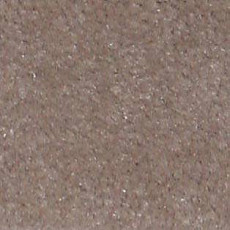 Ковролин Shaw all That Jazz 21144 фото 1 | FLOORDEALER