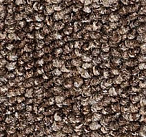 Ковролин Infloor Campo 730 фото 1 | FLOORDEALER