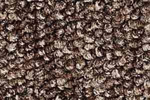 Ковролин Infloor Campo 730 фото  | FLOORDEALER