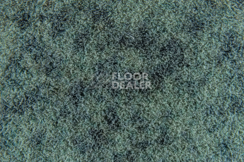 Forbo Flotex Colour Calgary 50*50 t 590009 Calgary Moss фото 2 | FLOORDEALER