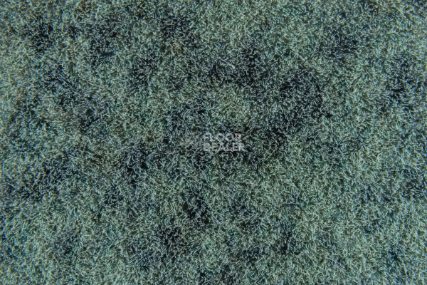 Flotex Colour Calgary 50*50 t 590009 Calgary Moss фото 2 | FLOORDEALER
