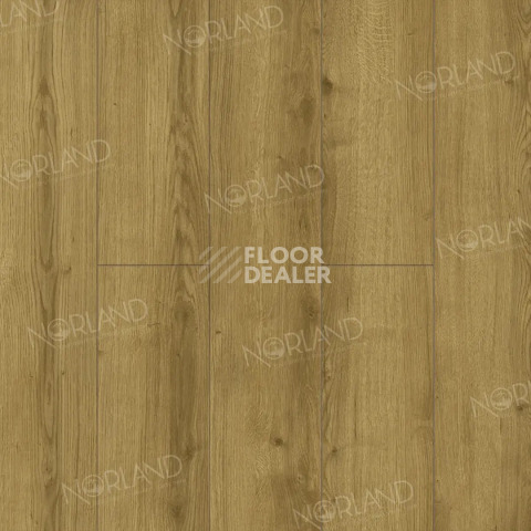 Ламинат Norland Elegant 8мм Дуб Фанэн LF301-17 фото 1 | FLOORDEALER