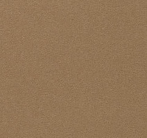 Ковролин Vorwerk Passion 1000/Modena Vorwerk 8e93 фото 1 | FLOORDEALER