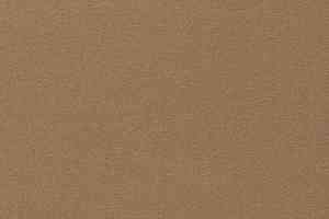 Ковролин Vorwerk Passion 1000/Modena Vorwerk 8e93 фото  | FLOORDEALER