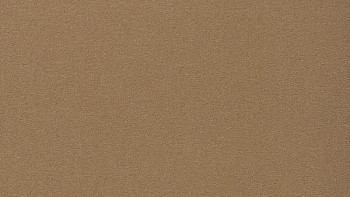 Ковролин Vorwerk Passion 1000/Modena Vorwerk 8e93 фото 1 | FLOORDEALER