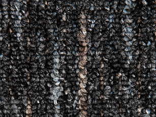 Balta King New 985 фото 1 | FLOORDEALER