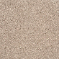 Ковролин Tarkett Sensa Sensa 87268 фото 1 | FLOORDEALER