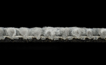 Desso Desert 9517 фото 4 | FLOORDEALER