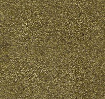 Ковролин AW Spirit 29 фото 1 | FLOORDEALER