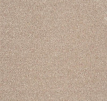 Ковролин Tarkett Sensa Sensa 87268 фото 1 | FLOORDEALER